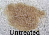 Carpet that has not been treated by the Aerosteam Fiber and Fabric Protectent - the ProSeal Fiber & Fabric Protection